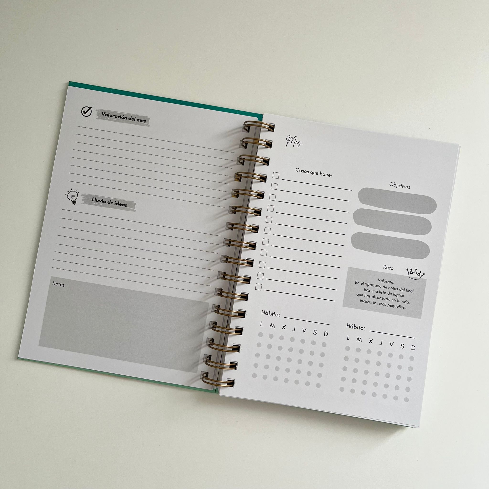 Agenda anual atemporal «Brilla» - Imagen 5